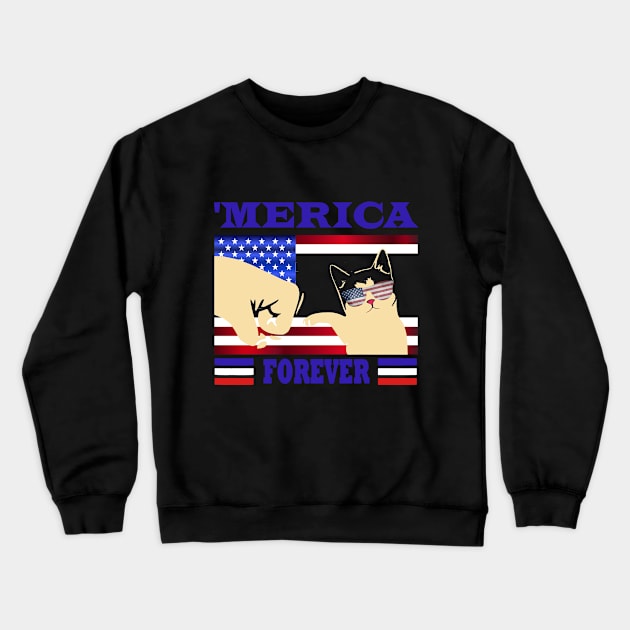 4th july Crewneck Sweatshirt by karascom